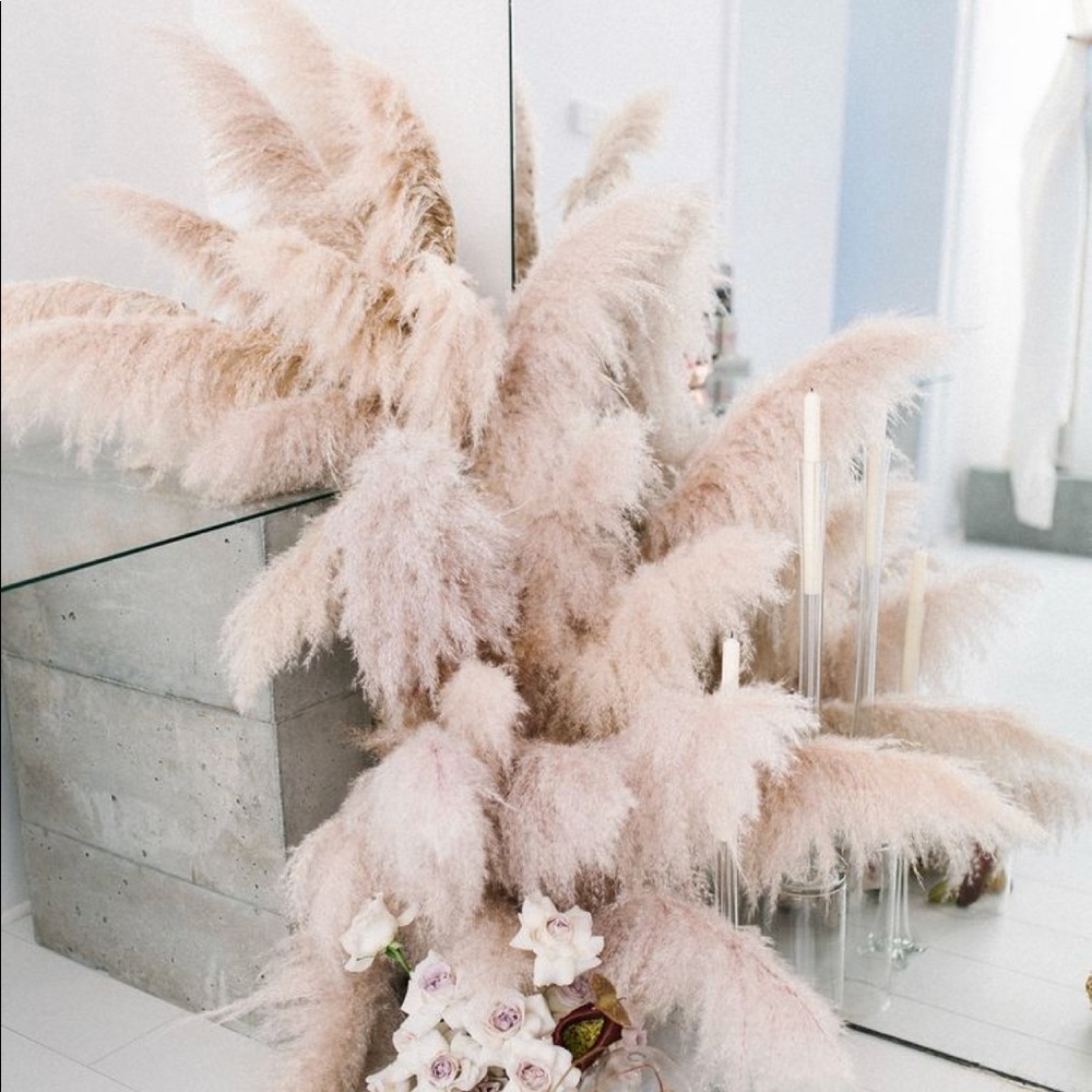 Meet your Posher, Inna